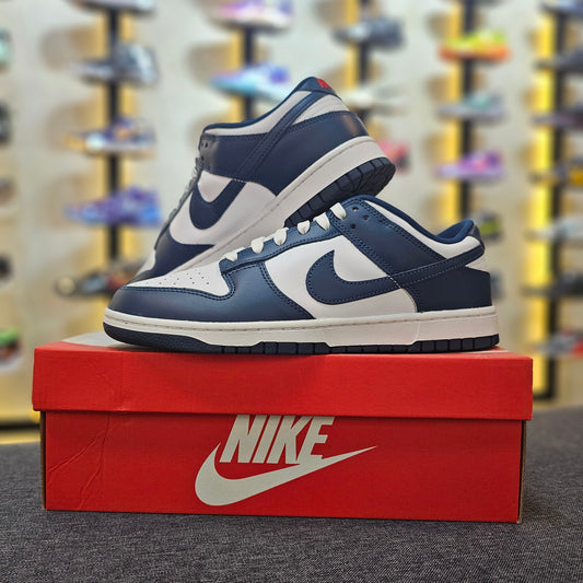 Dunk Low Valerian Blue