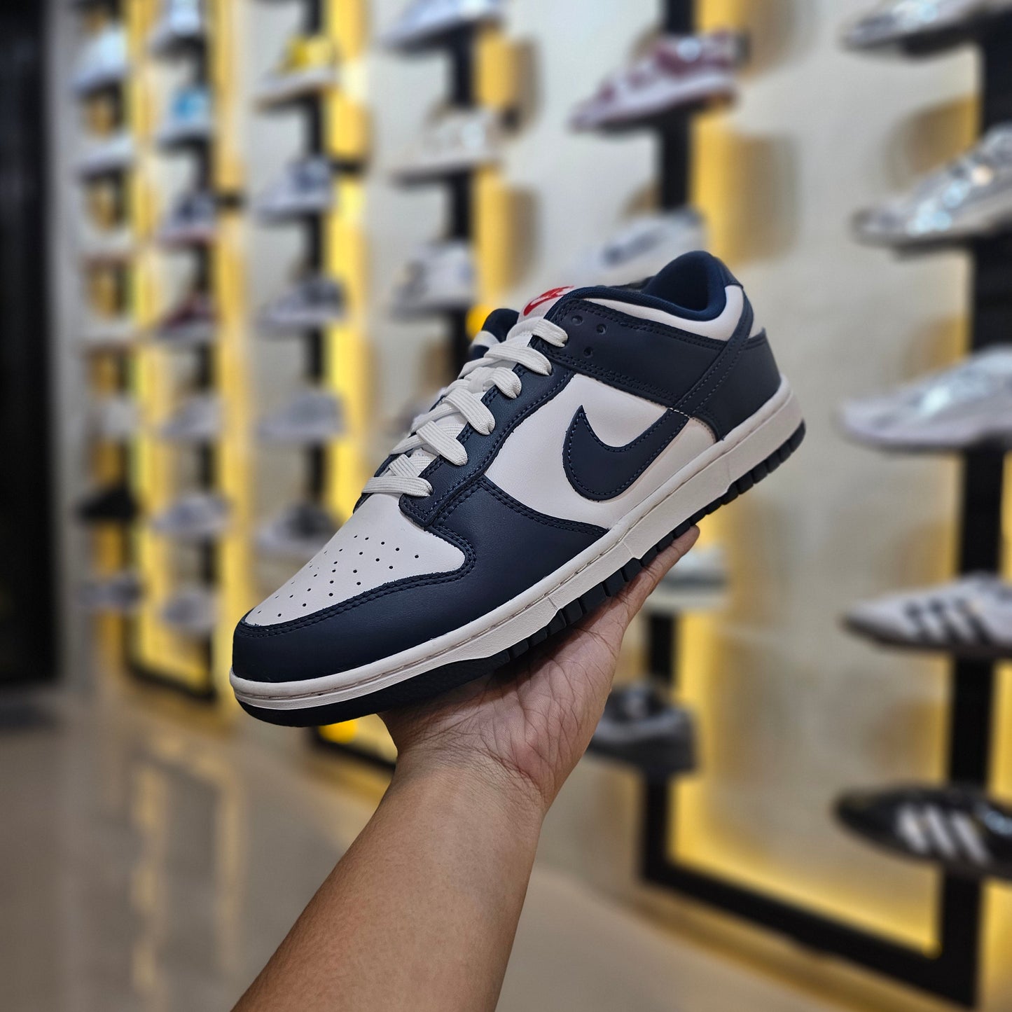 Dunk Low Valerian Blue