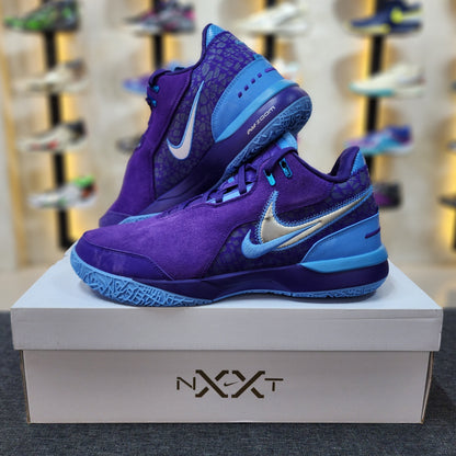 Lebron NXXT Gen AMPD Field Purple